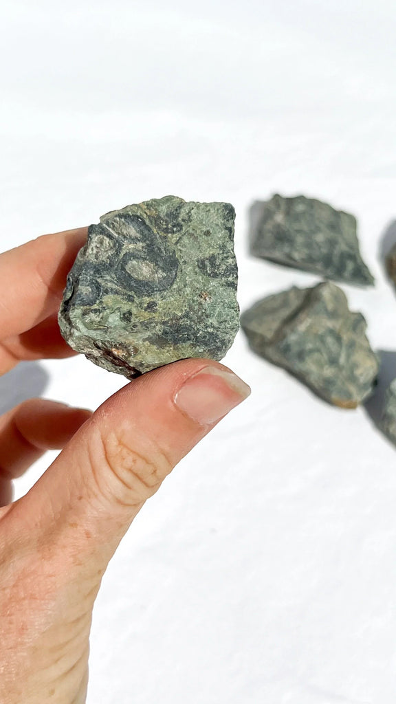 Kambaba Jasper Rough | Small - Unearthed Crystals