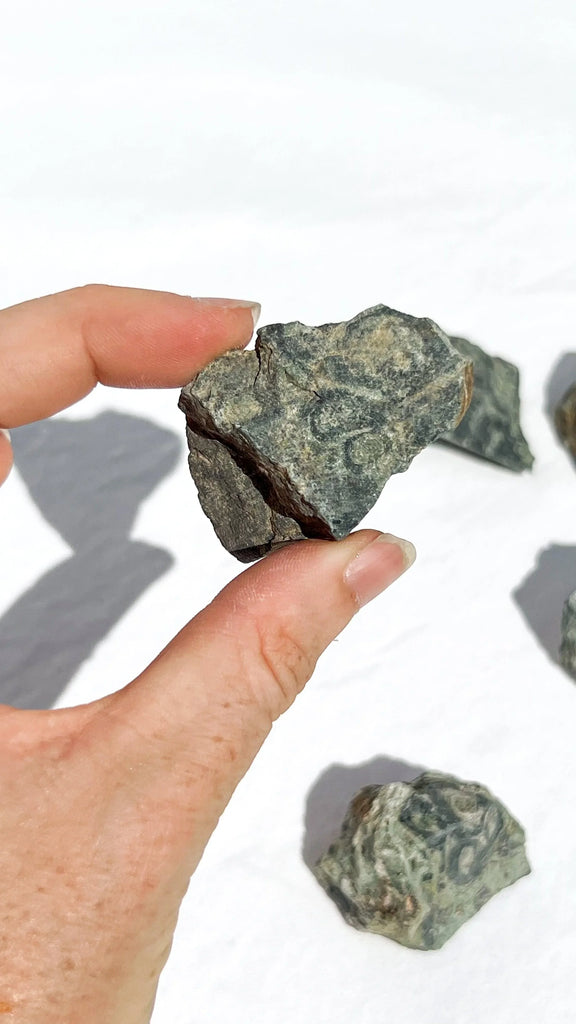 Kambaba Jasper Rough | Small - Unearthed Crystals