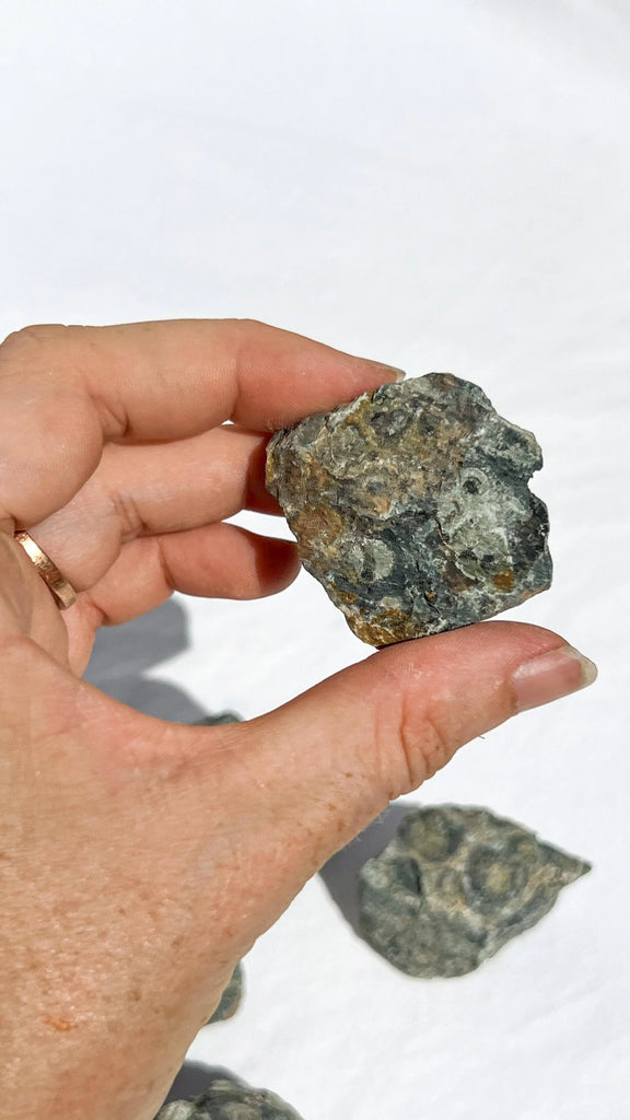 Kambaba Jasper Rough | Small - Unearthed Crystals