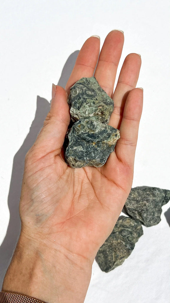 Kambaba Jasper Rough | Small - Unearthed Crystals