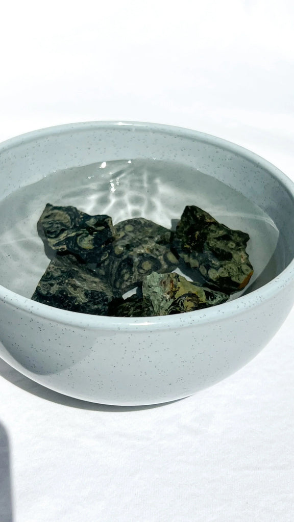 Kambaba Jasper Rough | Small - Unearthed Crystals