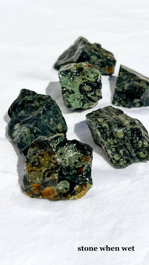 Kambaba Jasper Rough | Extra Small - Unearthed Crystals