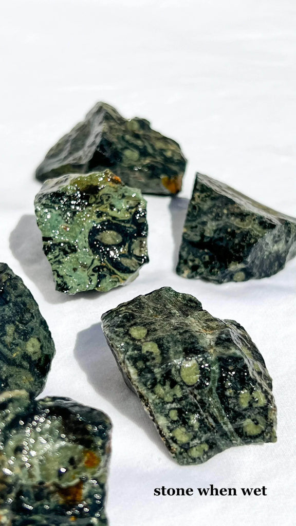 Kambaba Jasper Rough | Extra Small - Unearthed Crystals