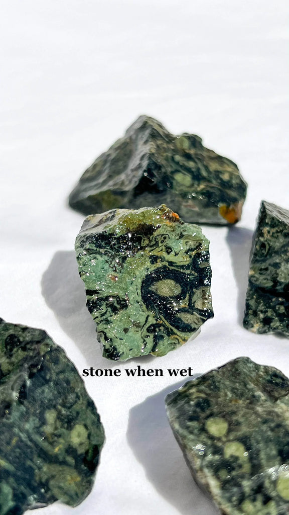 Kambaba Jasper Rough | Small - Unearthed Crystals