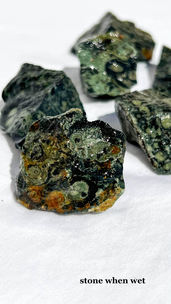 Kambaba Jasper Rough | Extra Small - Unearthed Crystals
