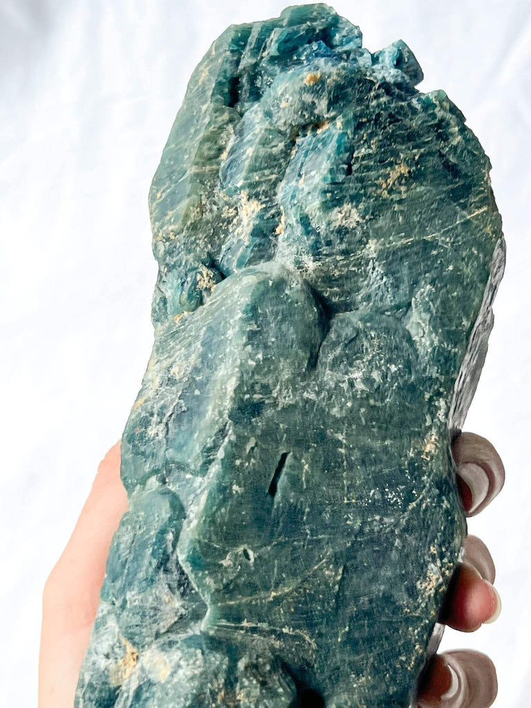 Apatite Rough Specimen - Unearthed Crystals