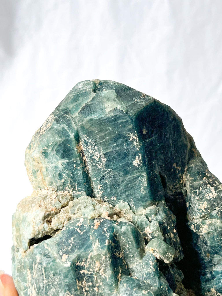 Apatite Rough Specimen - Unearthed Crystals