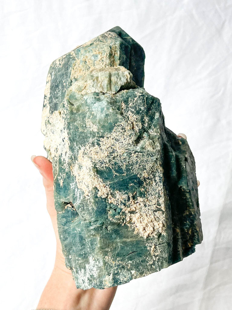 Apatite Rough Specimen - Unearthed Crystals