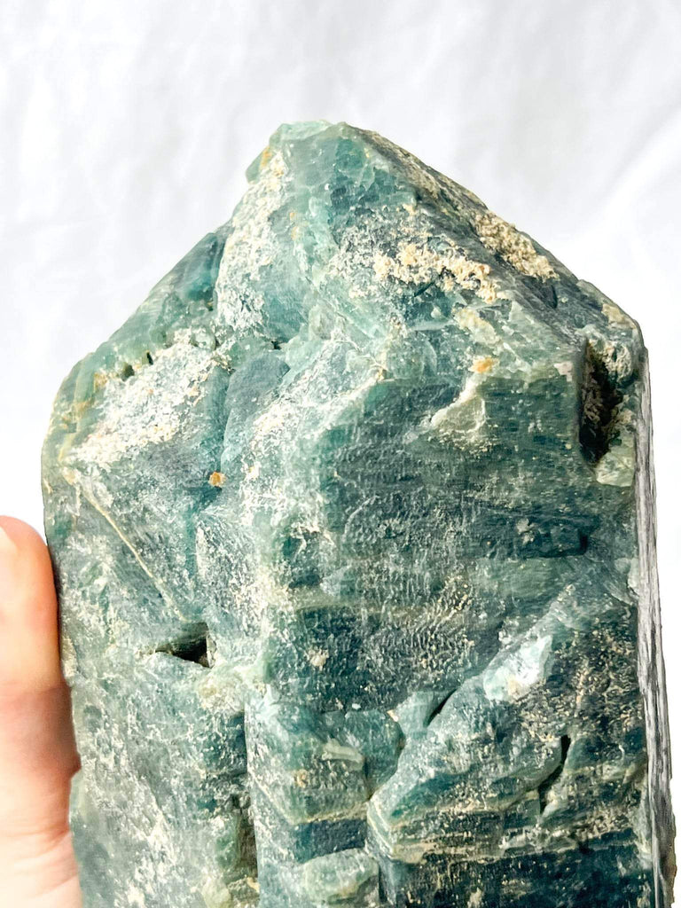 Apatite Rough Specimen - Unearthed Crystals