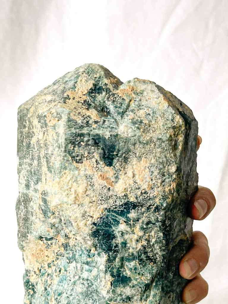 Apatite Rough Specimen - Unearthed Crystals