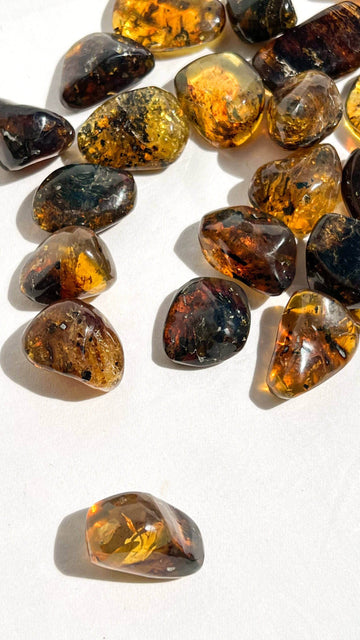 Mexican Amber Tumbles | Large - Unearthed Crystals