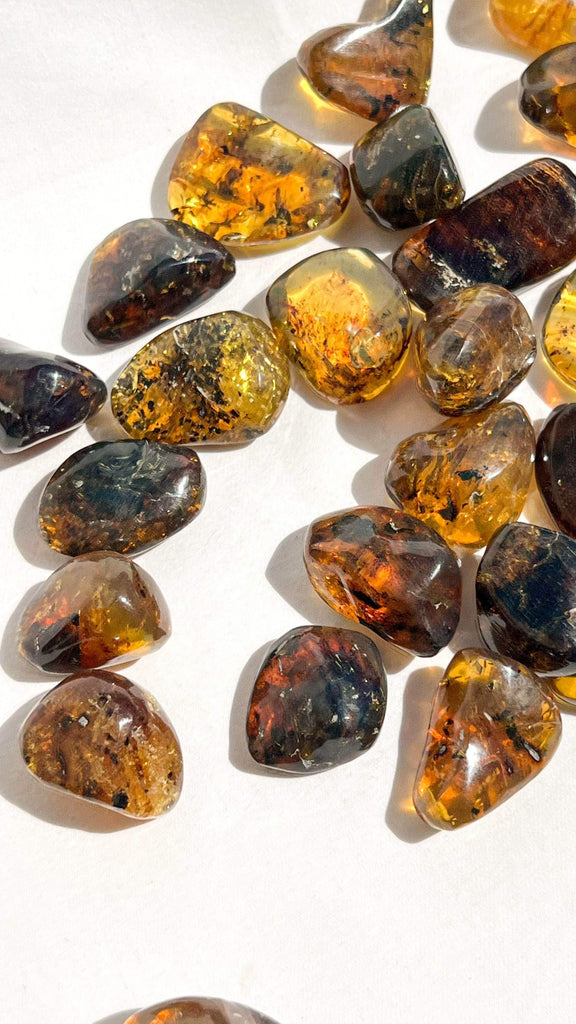 Mexican Amber Tumbles | Large - Unearthed Crystals