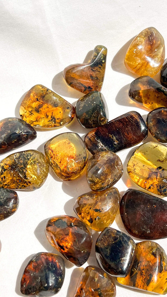 Mexican Amber Tumbles | Large - Unearthed Crystals