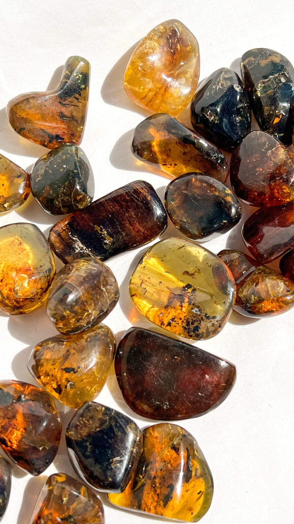 Mexican Amber Tumbles | Large - Unearthed Crystals
