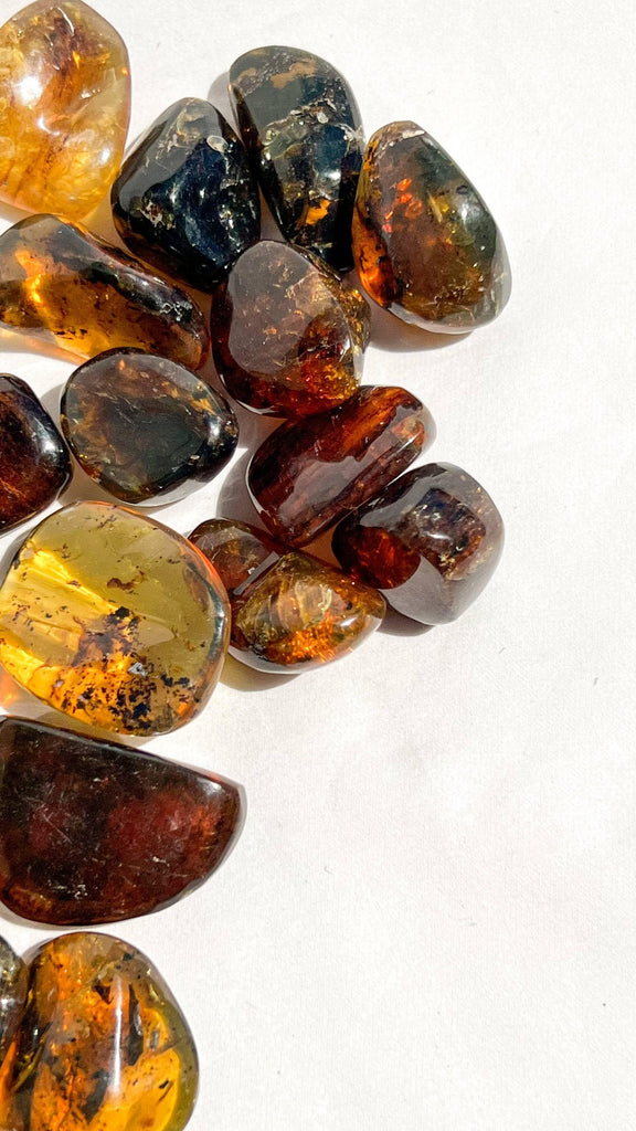 Mexican Amber Tumbles | Large - Unearthed Crystals