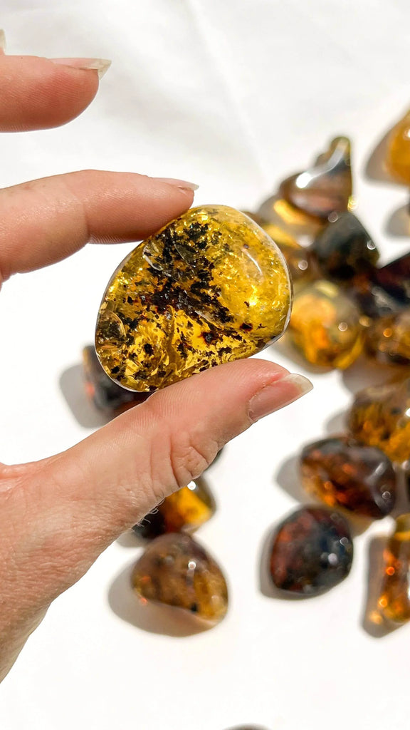 Mexican Amber Tumbles | Large - Unearthed Crystals