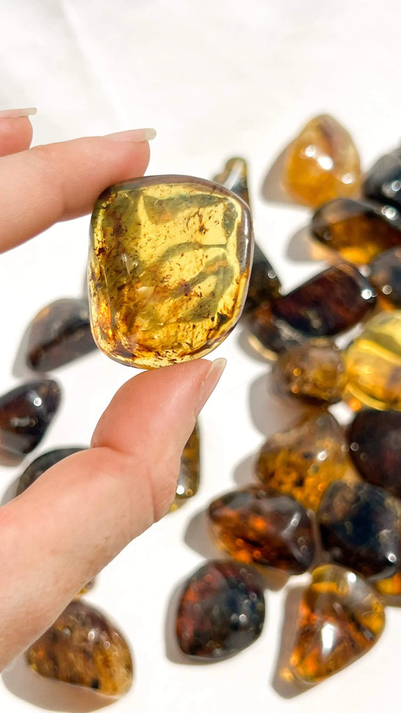 Mexican Amber Tumbles | Large - Unearthed Crystals