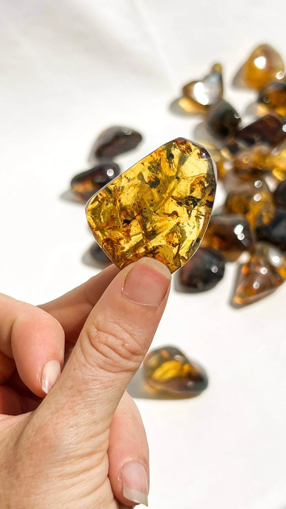 Mexican Amber Tumbles | Large - Unearthed Crystals