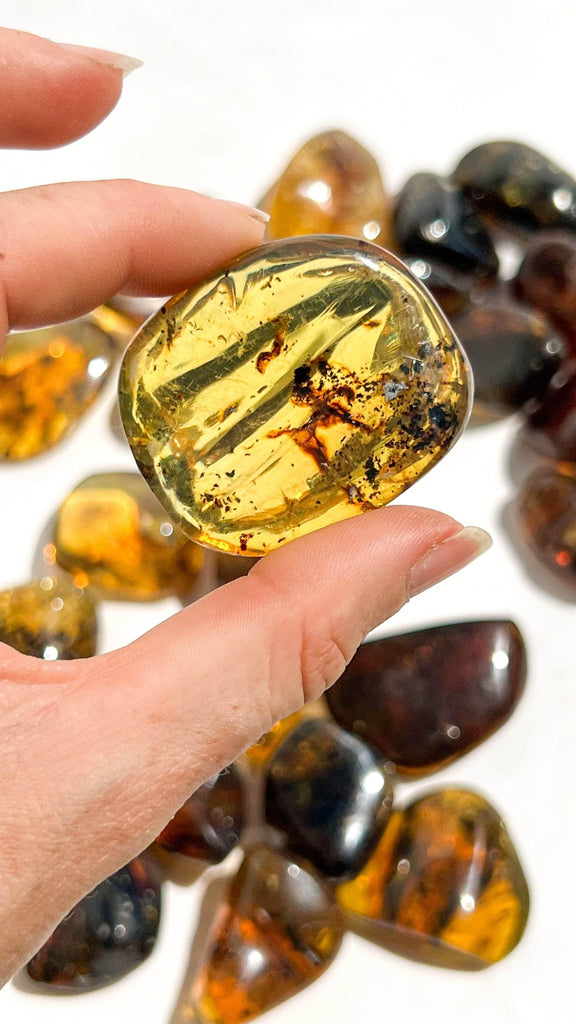 Mexican Amber Tumbles | Large - Unearthed Crystals