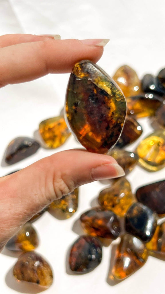 Mexican Amber Tumbles | Large - Unearthed Crystals