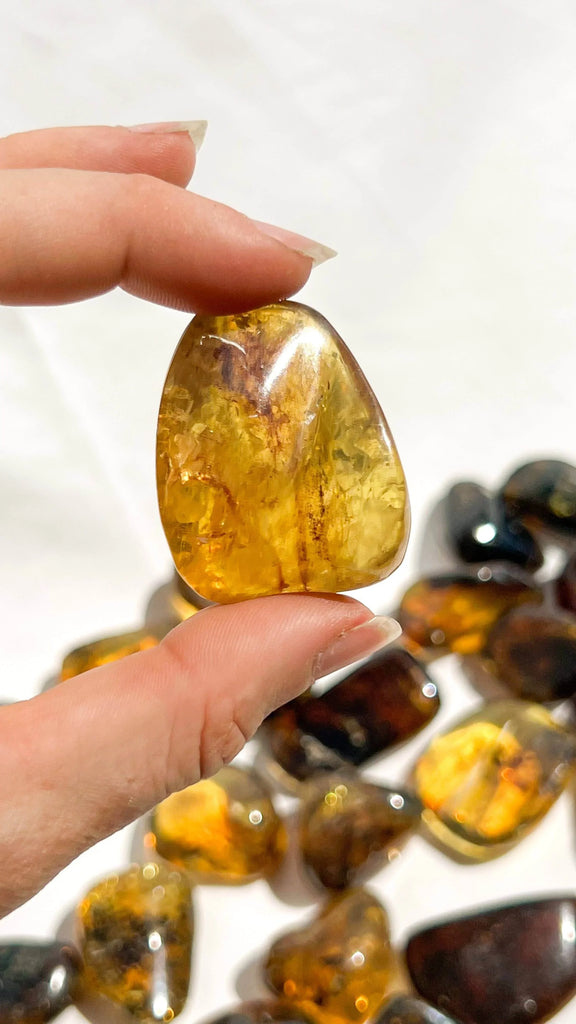 Mexican Amber Tumbles | Large - Unearthed Crystals