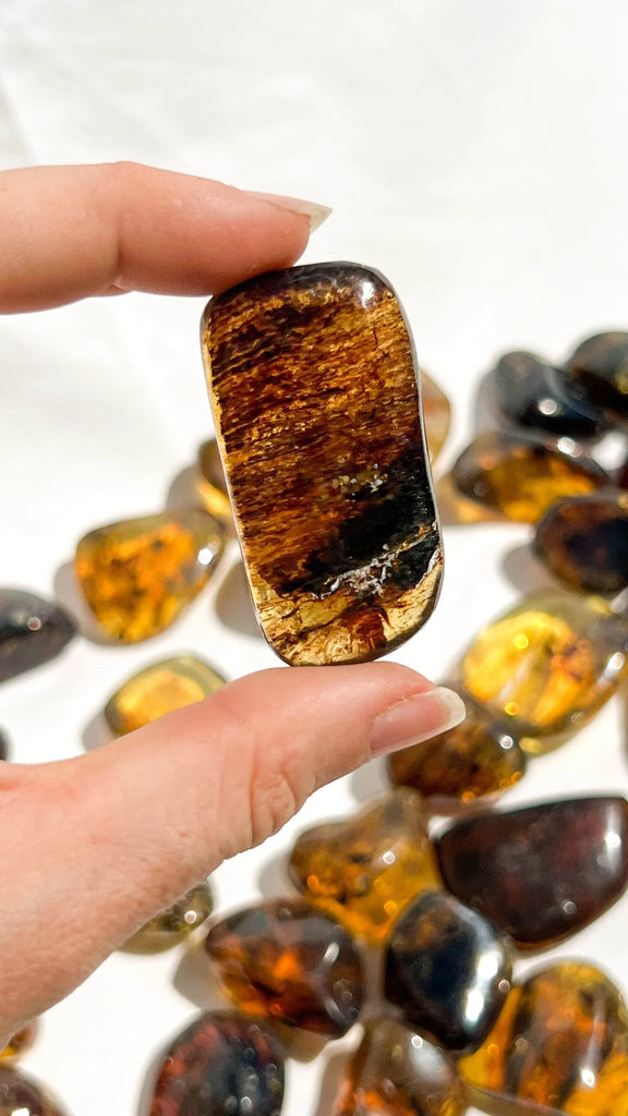 Mexican Amber Tumbles | Large - Unearthed Crystals