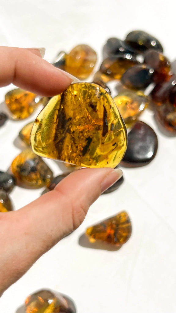 Mexican Amber Tumbles | Large - Unearthed Crystals