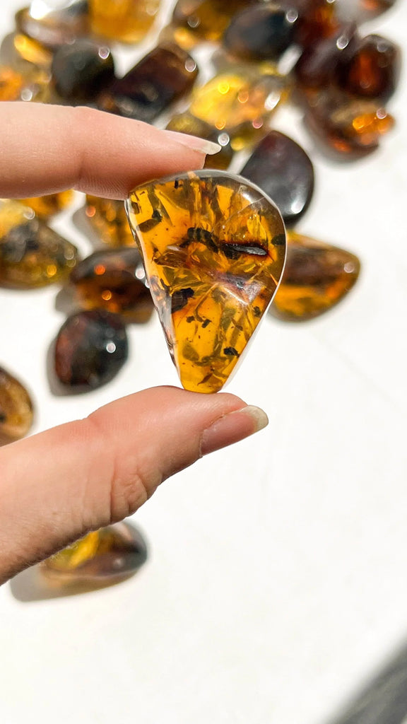 Mexican Amber Tumbles | Large - Unearthed Crystals