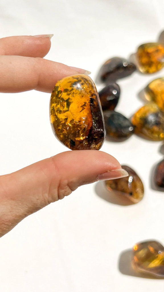 Mexican Amber Tumbles | Large - Unearthed Crystals