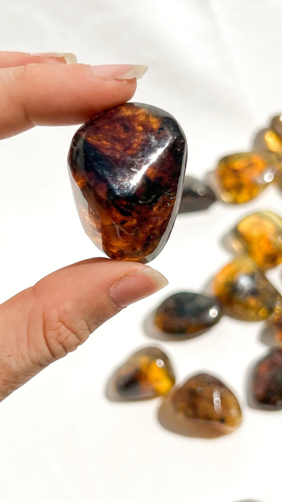 Mexican Amber Tumbles | Large - Unearthed Crystals