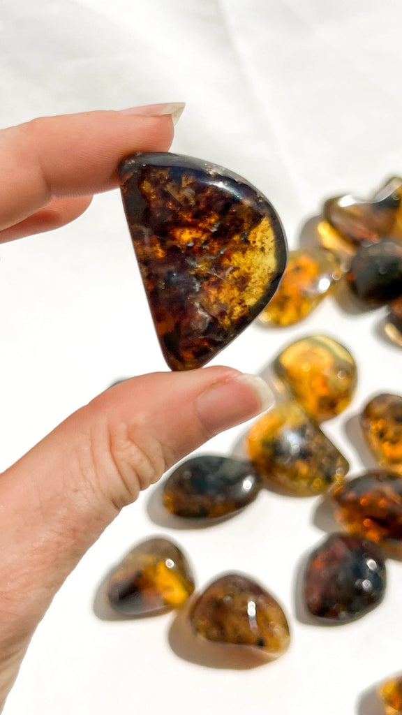 Mexican Amber Tumbles | Large - Unearthed Crystals