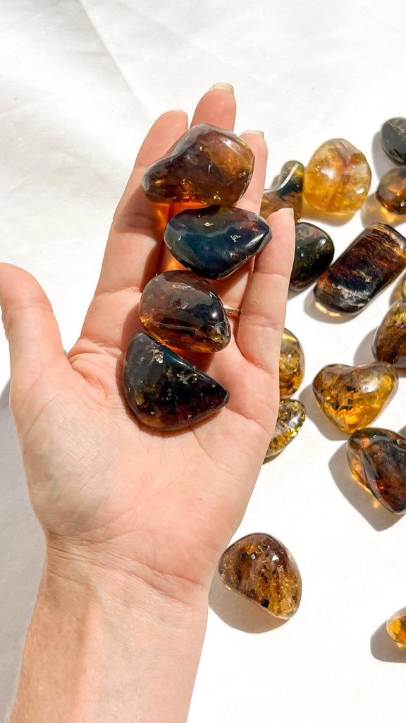 Mexican Amber Tumbles | Large - Unearthed Crystals