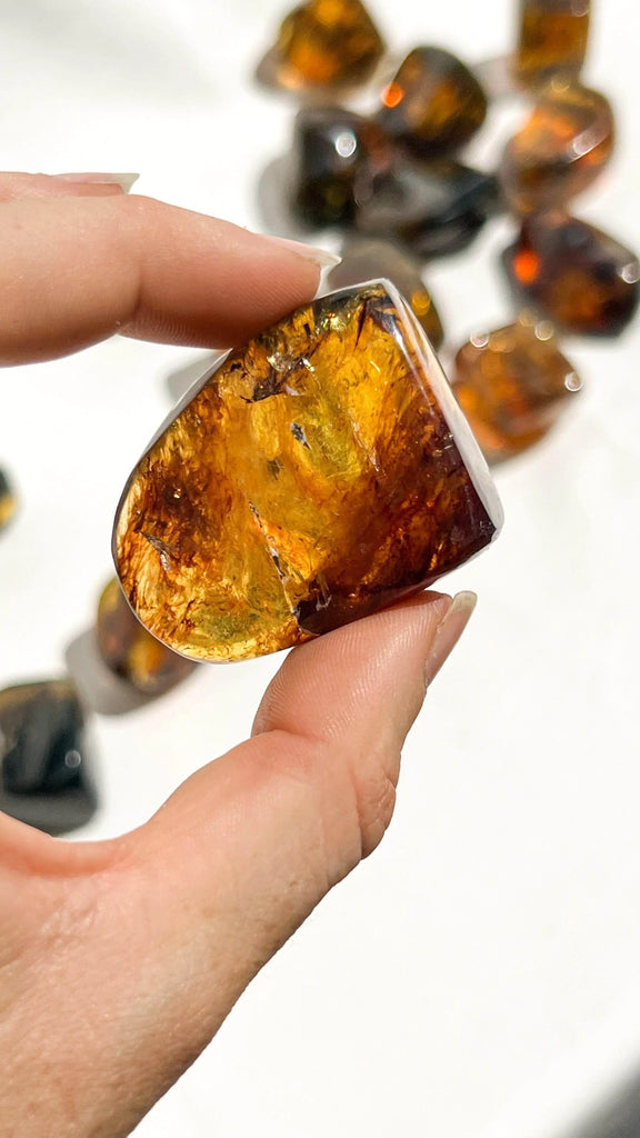 Mexican Amber Freeform | Small - Unearthed Crystals