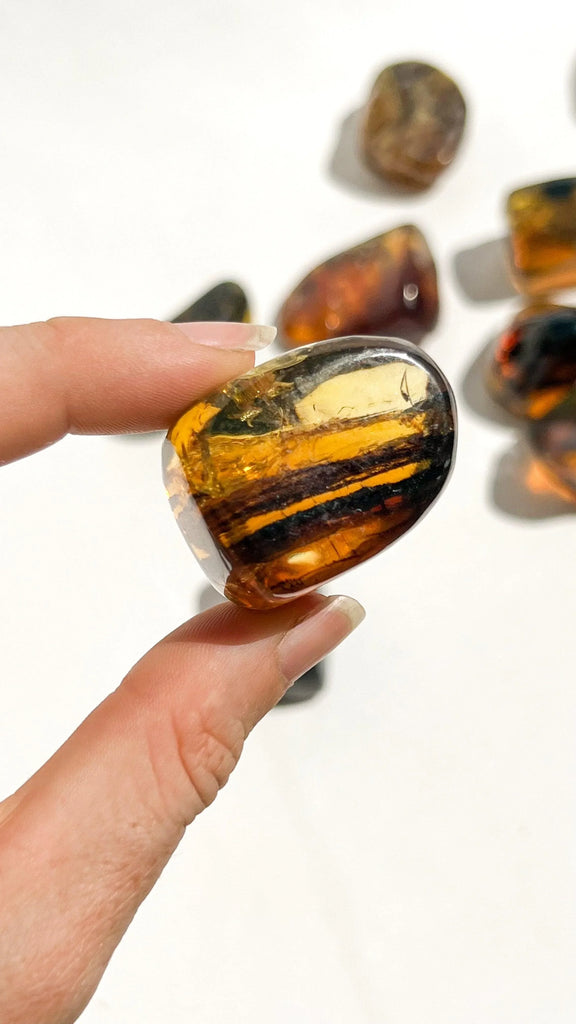 Mexican Amber Freeform | Small - Unearthed Crystals