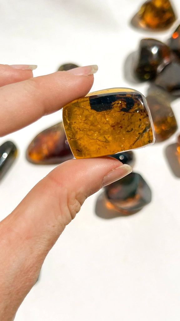 Mexican Amber Freeform | Small - Unearthed Crystals