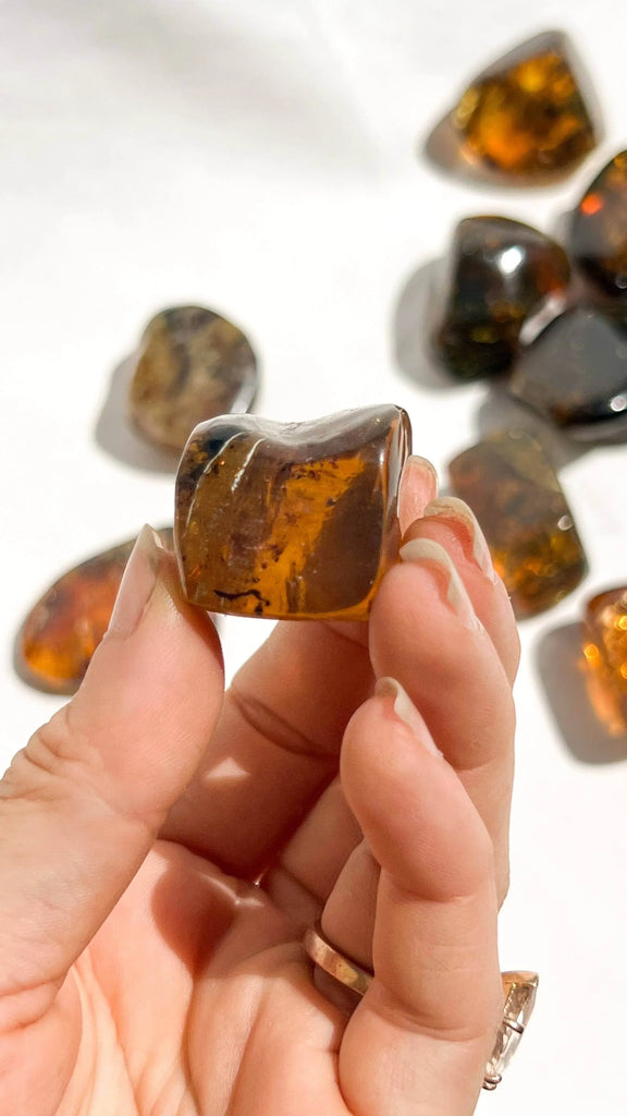 Mexican Amber Freeform | Small - Unearthed Crystals