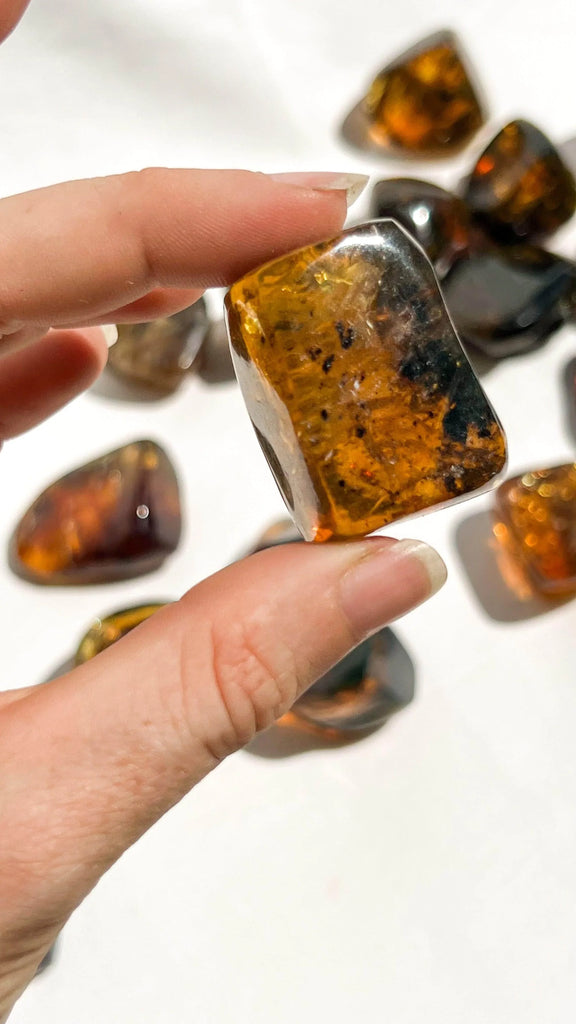 Mexican Amber Freeform | Small - Unearthed Crystals