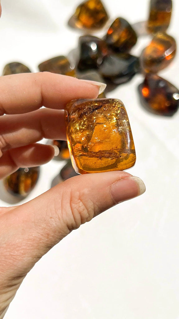 Mexican Amber Freeform | Small - Unearthed Crystals
