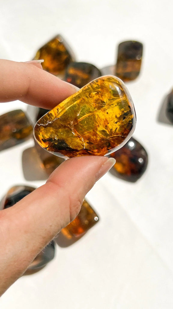 Mexican Amber Freeform | Small - Unearthed Crystals