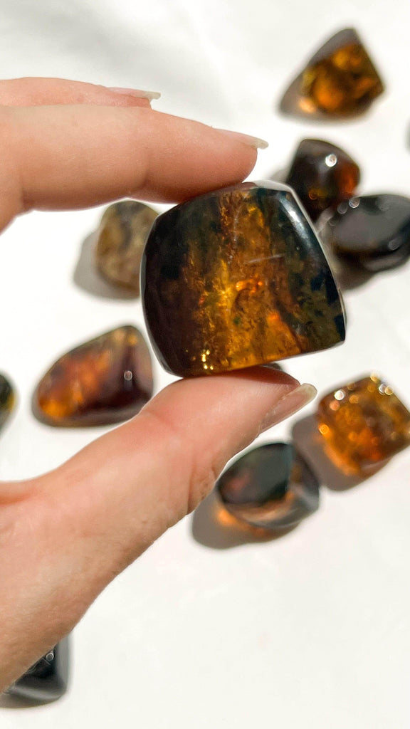 Mexican Amber Freeform | Small - Unearthed Crystals