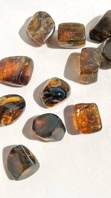 Mexican Amber Freeform | Small - Unearthed Crystals