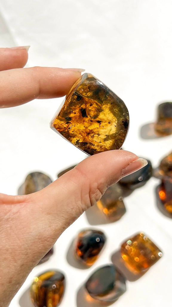 Mexican Amber Freeform | Small - Unearthed Crystals