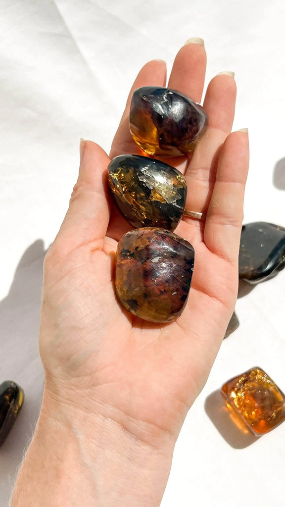 Mexican Amber Freeform | Small - Unearthed Crystals