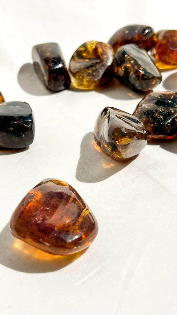 Mexican Amber Freeform | Medium - Unearthed Crystals