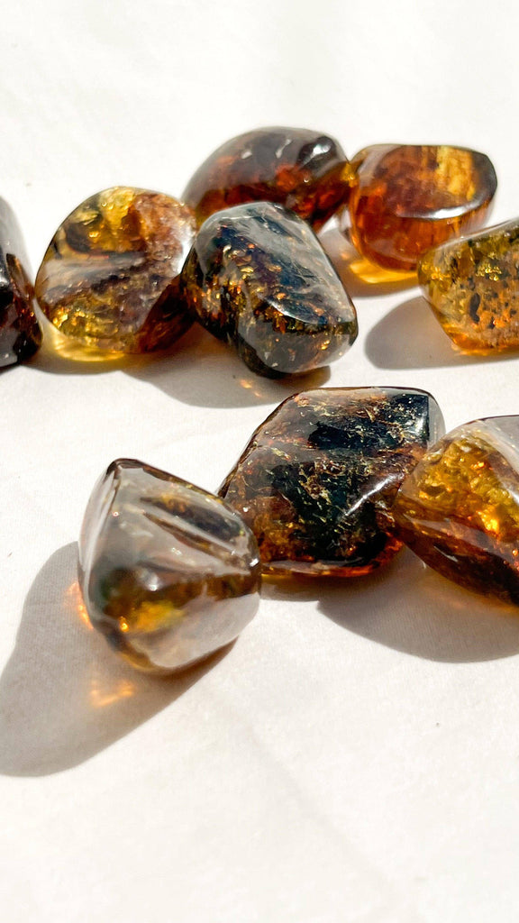 Mexican Amber Freeform | Medium - Unearthed Crystals