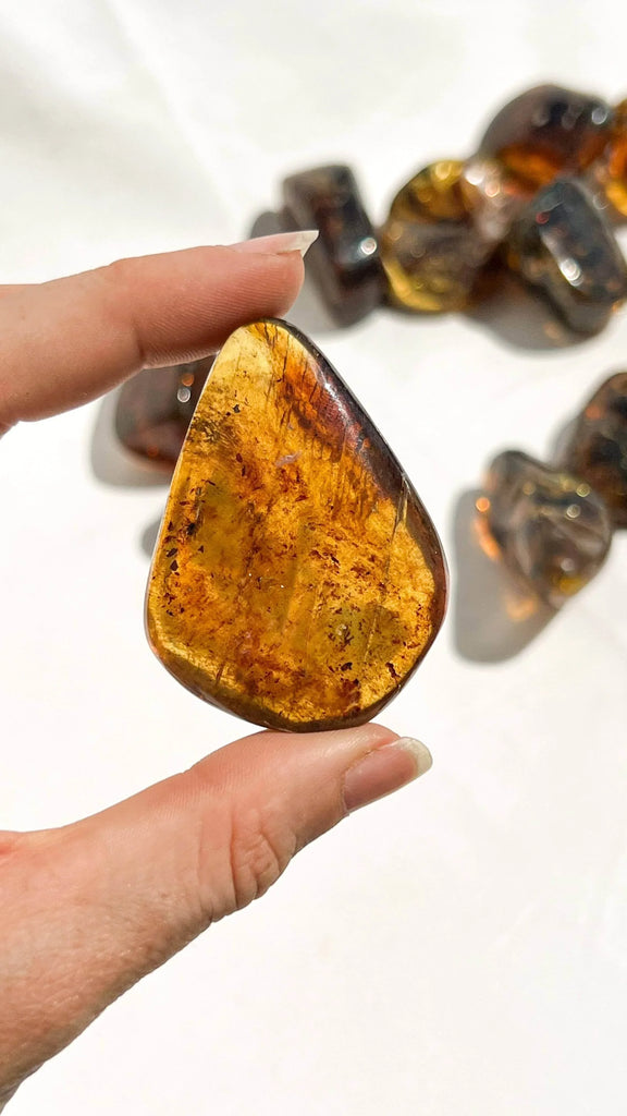 Mexican Amber Freeform | Medium - Unearthed Crystals