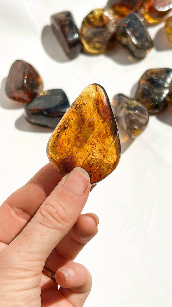 Mexican Amber Freeform | Medium - Unearthed Crystals