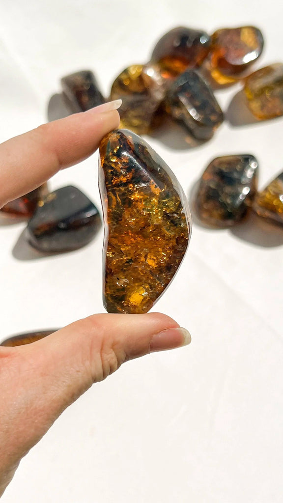 Mexican Amber Freeform | Medium - Unearthed Crystals