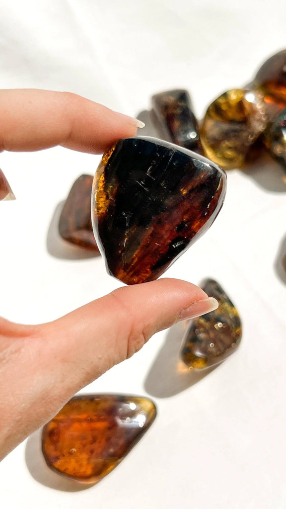 Mexican Amber Freeform | Medium - Unearthed Crystals