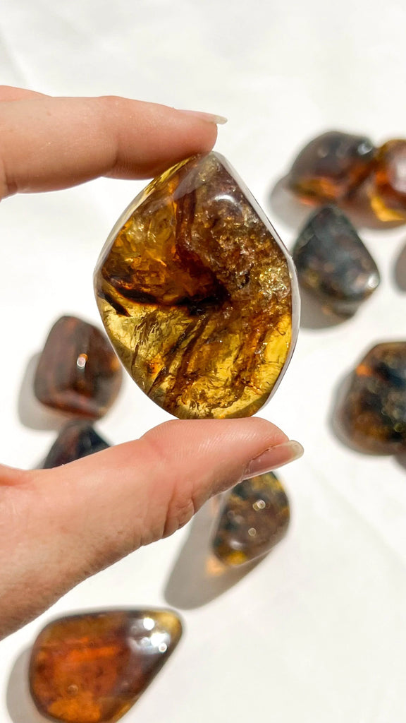 Mexican Amber Freeform | Medium - Unearthed Crystals